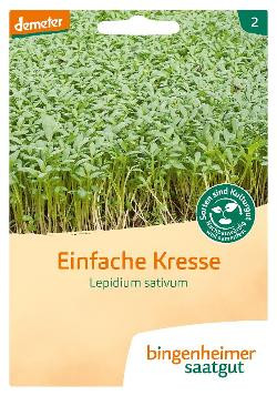 Produktfoto zu Saatgut - Kresse einfach