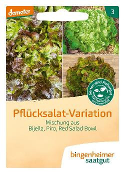 Produktfoto zu Saatgut - Pflücksalatmischung