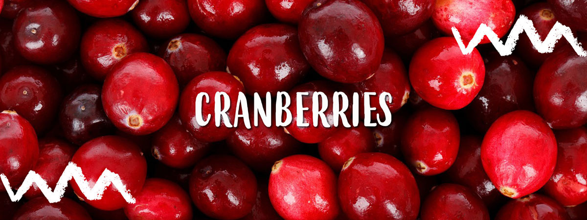 frische Cranberries