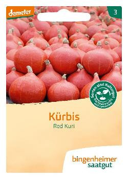 Produktfoto zu Saatgut - Kürbis Hokkaido