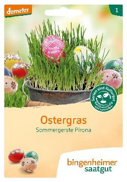 Produktfoto zu Saatgut - Ostergras