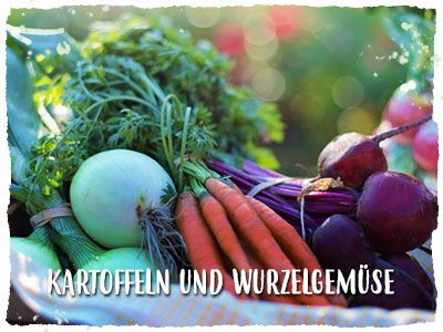 Kartoffeln und Wurzelgemüse