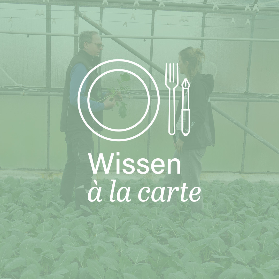 Teaser Wissen a la carte