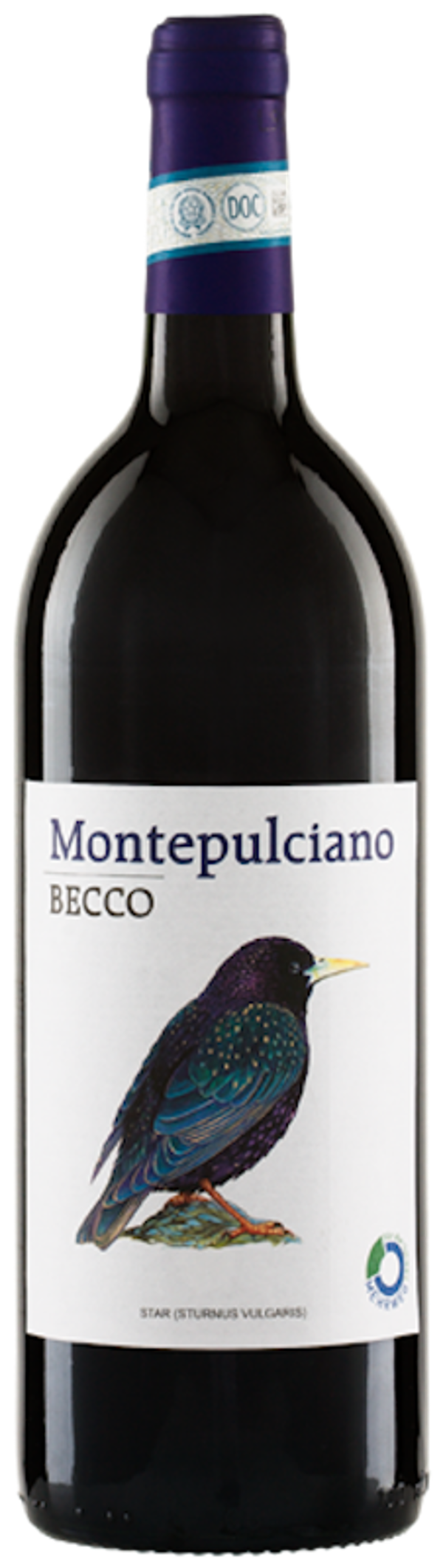 Produktfoto zu BECCO Montepulciano DOC, trocken - 1l  Mehrweg