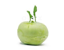 Produktfoto zu Kohlrabi ohne Grün