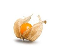 Produktfoto zu Physalis  - 100g