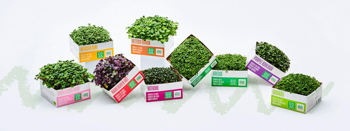 KRAUZ Microgreens