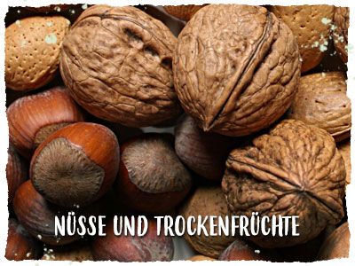 Nüsse und Trockenfrüchte