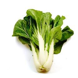 Produktfoto zu Pak Choi, fällt noch klein aus