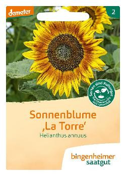 Produktfoto zu S29 - Saatgut - Sonnenblumen