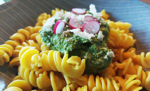 Pasta mit Radieschenpesto